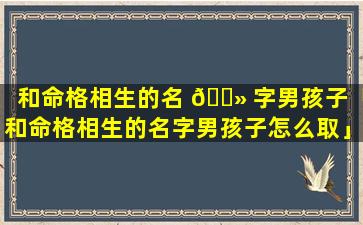 和命格相生的名 🌻 字男孩子「和命格相生的名字男孩子怎么取」